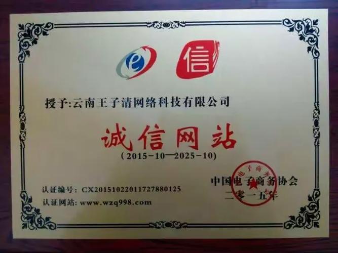 云南王子清网络科技简介及赶马商城创业模式——云南网络科技的新探索
